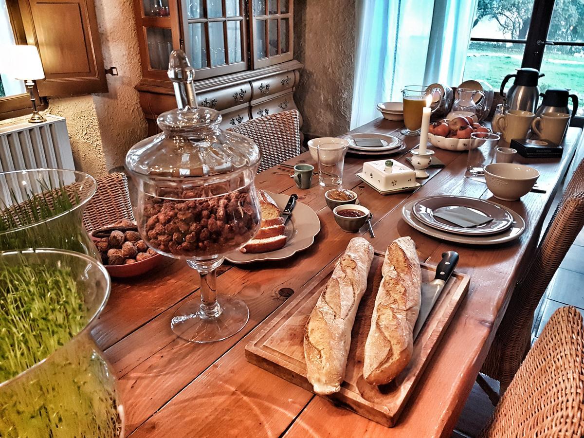 Flassans-sur-Issole Le Domaine Saint Martin B&B 외부 사진