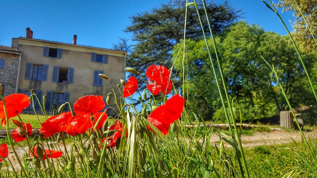 Flassans-sur-Issole Le Domaine Saint Martin B&B 외부 사진